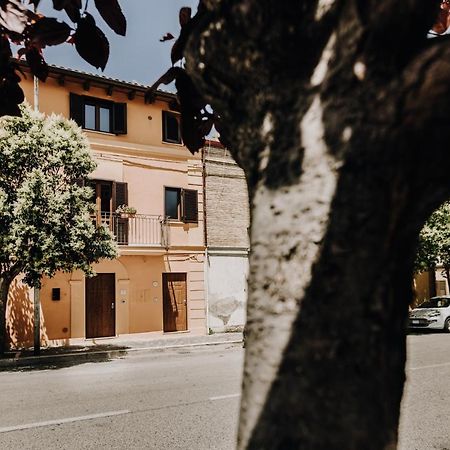 B&B La Cicala Vasto Ngoại thất bức ảnh
